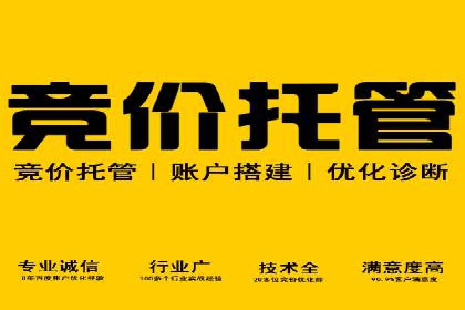 百度竞价排名实战：关键词优化与广告创意创新案例